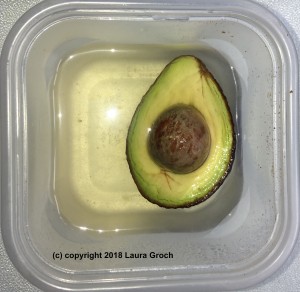 Submerging the cut surface of an avocado in water will also keep it from browning. (Photo by Laura Groch)